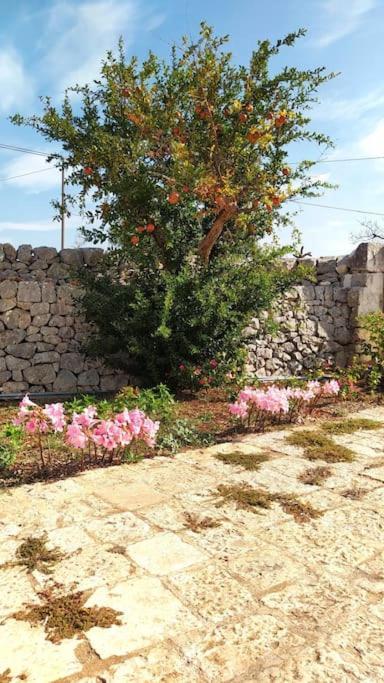 Trullo Mami Villa Putignano Ngoại thất bức ảnh