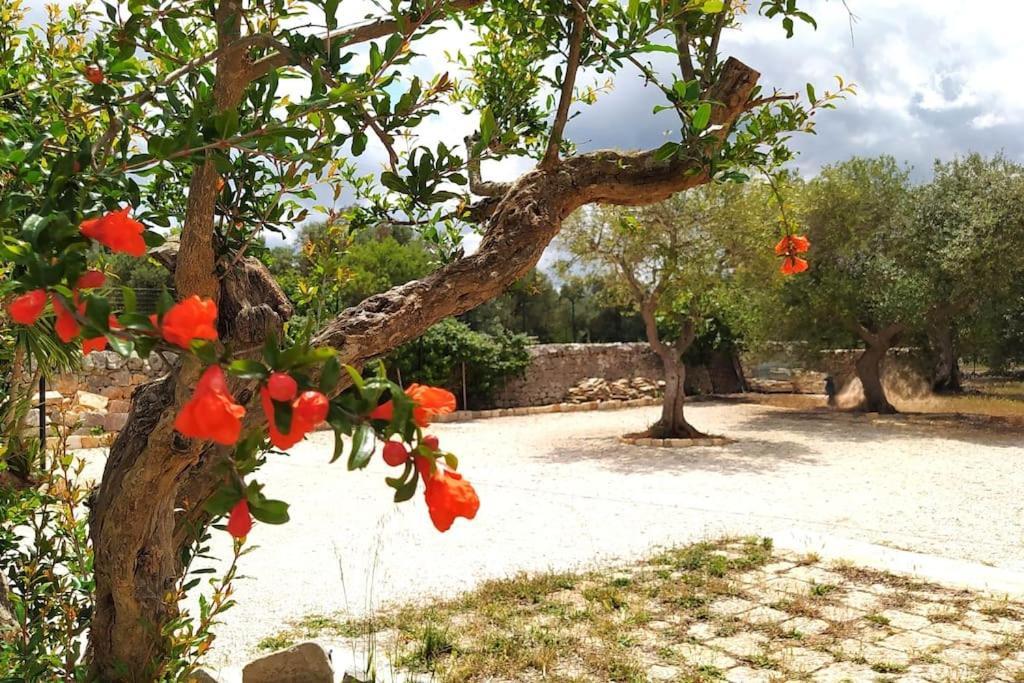 Trullo Mami Villa Putignano Ngoại thất bức ảnh