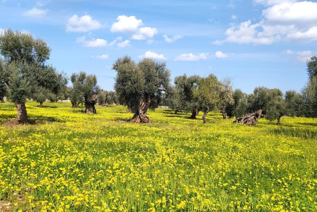 Trullo Mami Villa Putignano Ngoại thất bức ảnh